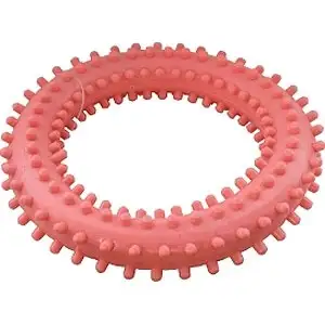Купить Зооник игрушка для собак "кольцо с шипами № 2"