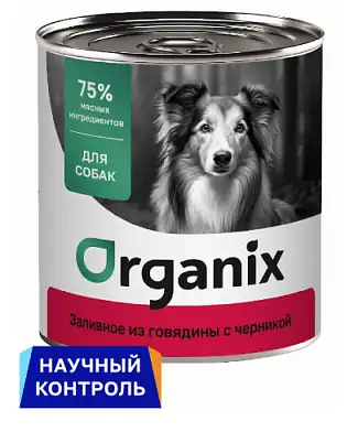 Organix консервы для собак Заливное из говядины с черникой